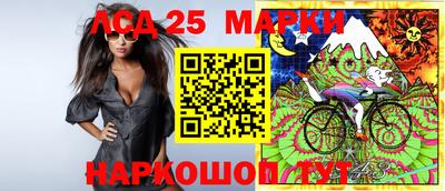 молекула духа Донской